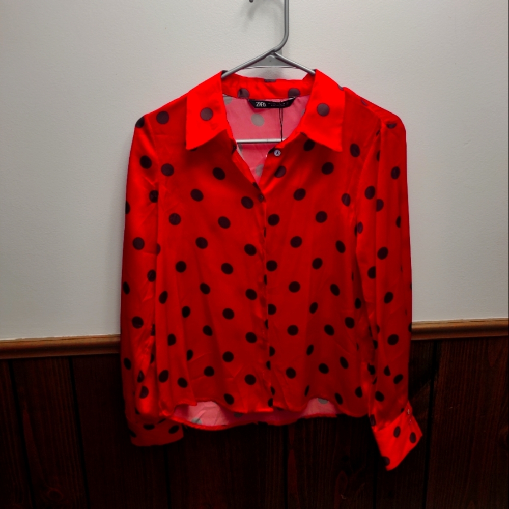 NWT Button Down Zara shirt